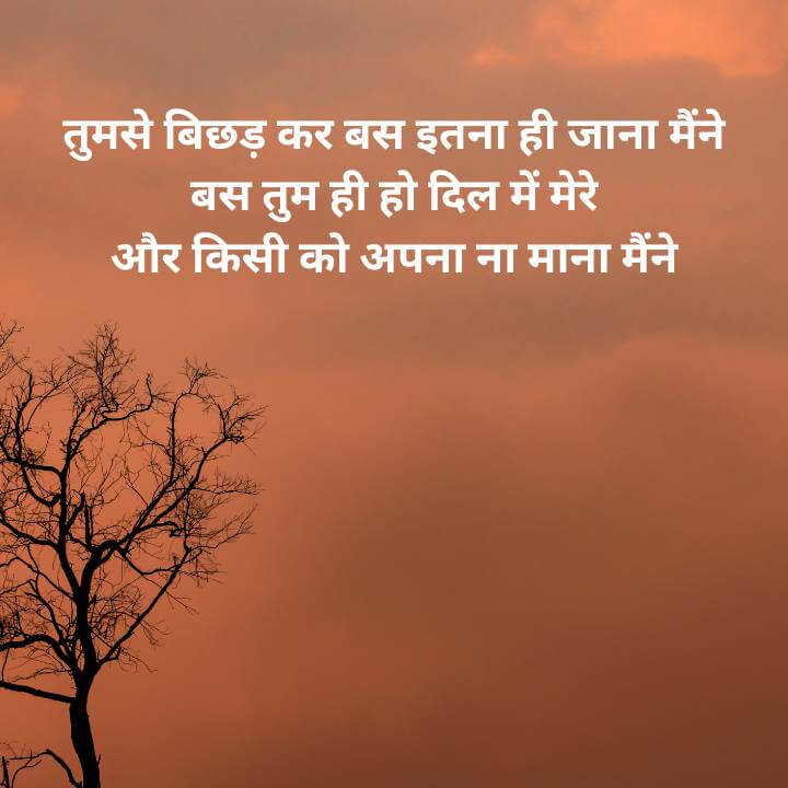 Alone breakup sad shayari in Hindi